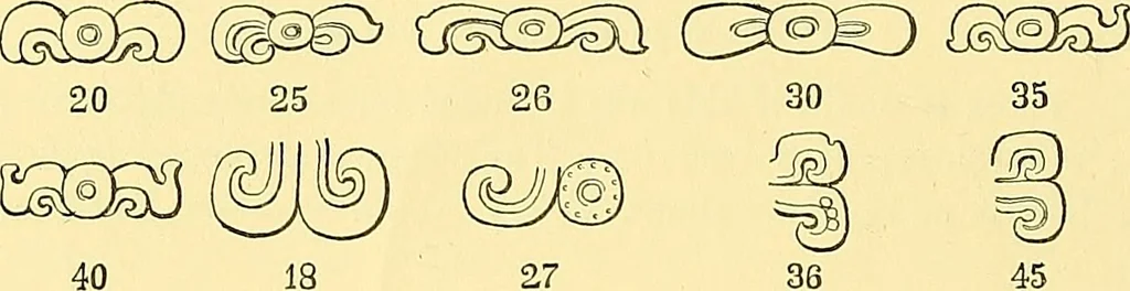An illustration from Biologia Centrali-Americana, or, Contributions to the knowledge of the fauna and flora of Mexico and Central America, 1889, leaf 127