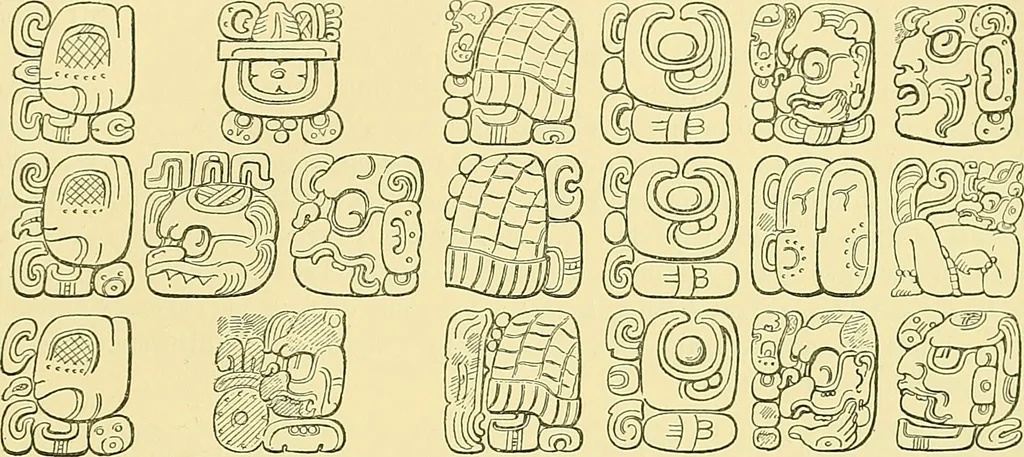 An illustration from Biologia Centrali-Americana, or, Contributions to the knowledge of the fauna and flora of Mexico and Central America, 1889, leaf 128