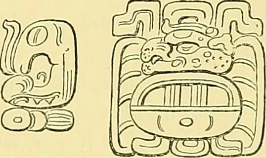An illustration from Biologia Centrali-Americana, or, Contributions to the knowledge of the fauna and flora of Mexico and Central America, 1889, leaf 42
