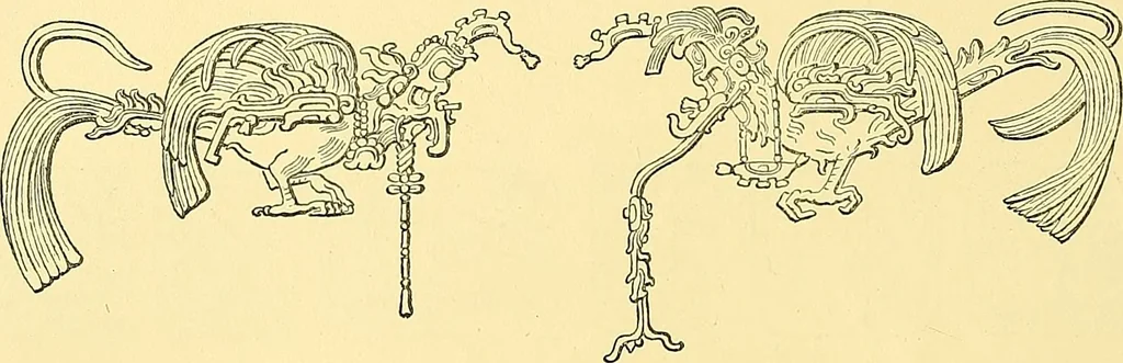 An illustration from Biologia Centrali-Americana, or, Contributions to the knowledge of the fauna and flora of Mexico and Central America, 1889, leaf 43