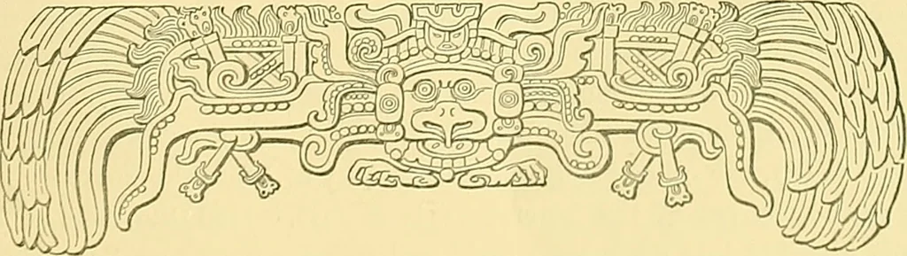 An illustration from Biologia Centrali-Americana, or, Contributions to the knowledge of the fauna and flora of Mexico and Central America, 1889, leaf 44