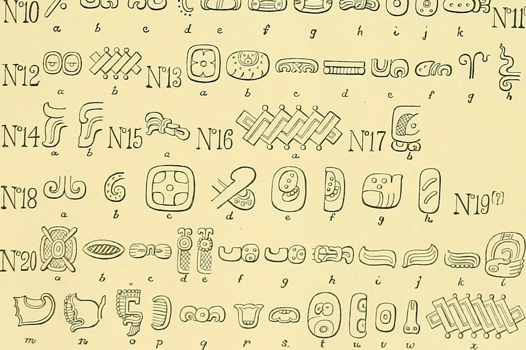 An illustration from Biologia Centrali-Americana, or, Contributions to the knowledge of the fauna and flora of Mexico and Central America, 1889, leaf 84
