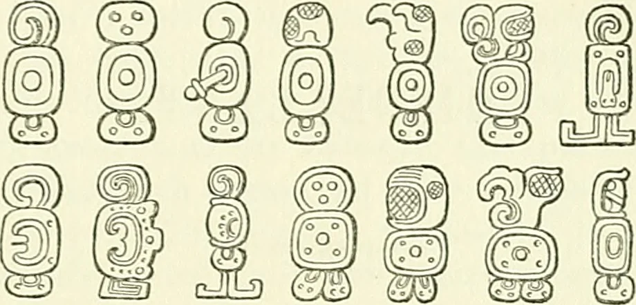 An illustration from Biologia Centrali-Americana, or, Contributions to the knowledge of the fauna and flora of Mexico and Central America, 1889, leaf 108