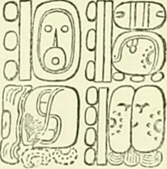 An illustration from Biologia Centrali-Americana, or, Contributions to the knowledge of the fauna and flora of Mexico and Central America, 1889, leaf 122