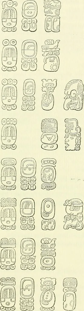 An illustration from Biologia Centrali-Americana, or, Contributions to the knowledge of the fauna and flora of Mexico and Central America, 1889, leaf 126