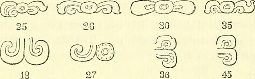 An illustration from Biologia Centrali-Americana, or, Contributions to the knowledge of the fauna and flora of Mexico and Central America, 1889, leaf 131