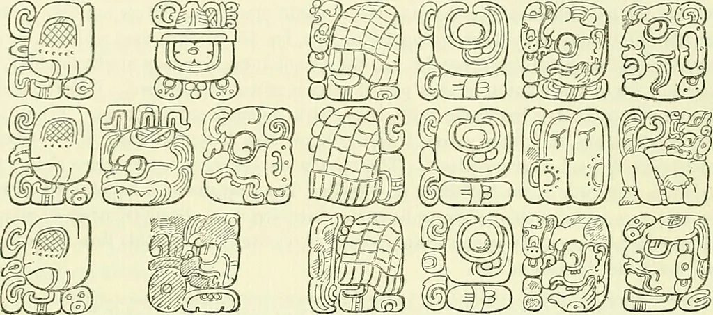 An illustration from Biologia Centrali-Americana, or, Contributions to the knowledge of the fauna and flora of Mexico and Central America, 1889, leaf 132