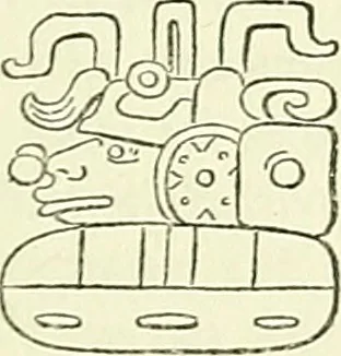 An illustration from Biologia Centrali-Americana, or, Contributions to the knowledge of the fauna and flora of Mexico and Central America, 1889, leaf 46