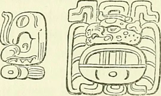 An illustration from Biologia Centrali-Americana, or, Contributions to the knowledge of the fauna and flora of Mexico and Central America, 1889, leaf 46
