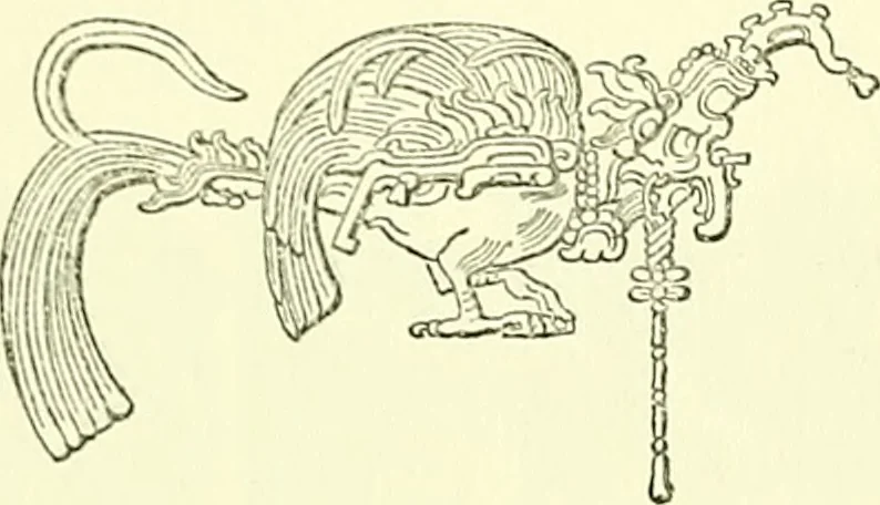 An illustration from Biologia Centrali-Americana, or, Contributions to the knowledge of the fauna and flora of Mexico and Central America, 1889, leaf 47