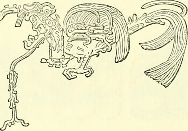 An illustration from Biologia Centrali-Americana, or, Contributions to the knowledge of the fauna and flora of Mexico and Central America, 1889, leaf 47