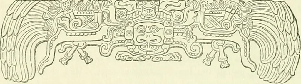 An illustration from Biologia Centrali-Americana, or, Contributions to the knowledge of the fauna and flora of Mexico and Central America, 1889, leaf 48