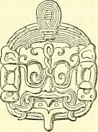 An illustration from Biologia Centrali-Americana, or, Contributions to the knowledge of the fauna and flora of Mexico and Central America, 1889, leaf 63