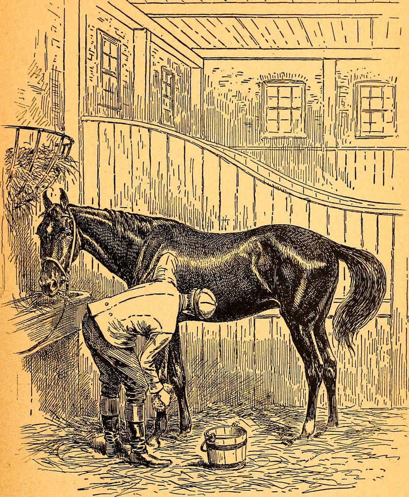 An illustration from Black Beauty : the autobiography of a horse, 1870, leaf 18