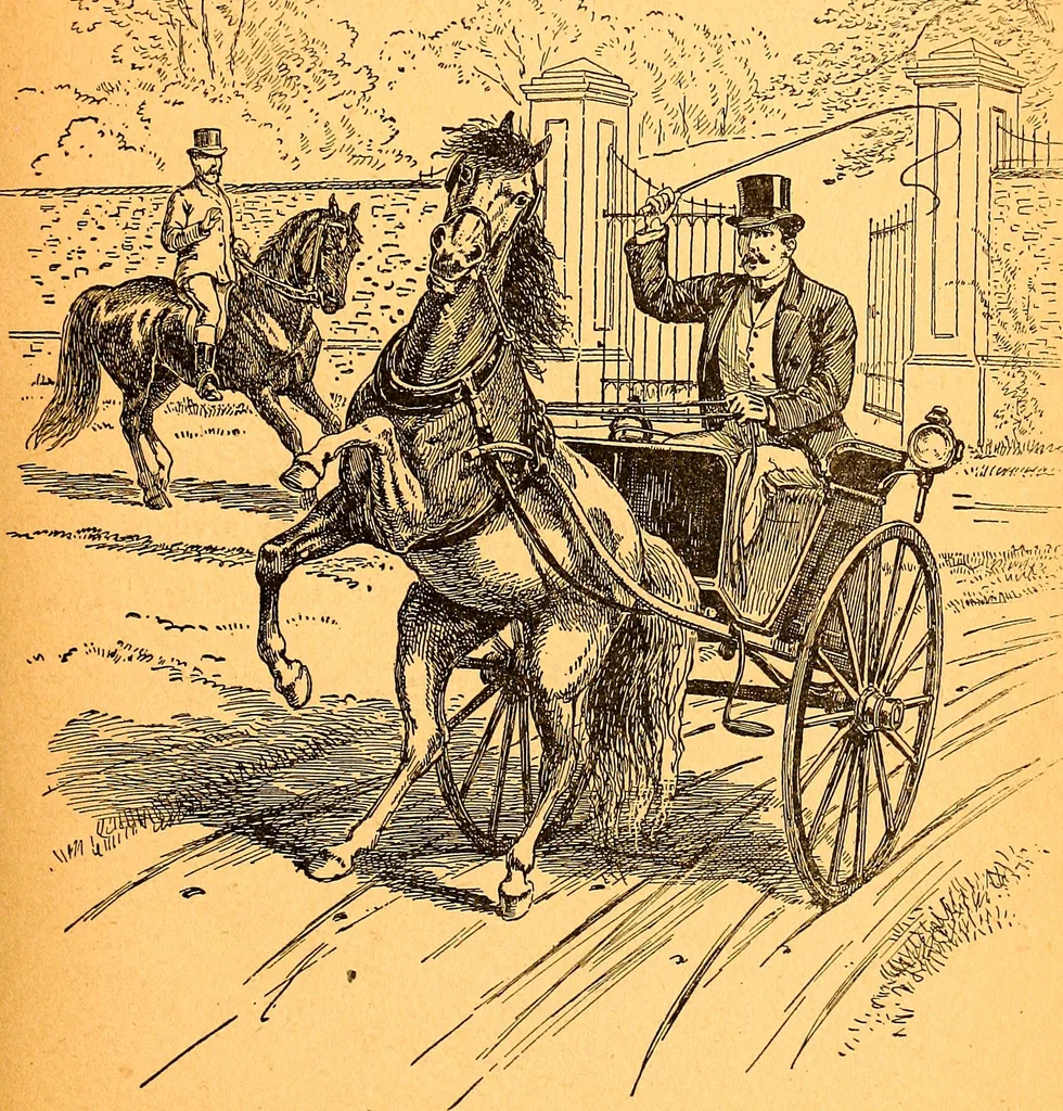 An illustration from Black Beauty : the autobiography of a horse, 1870, leaf 24