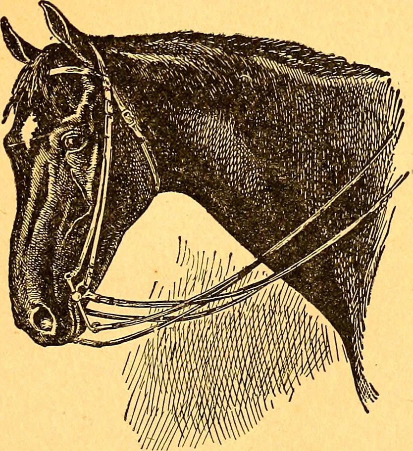 An illustration from Black Beauty : the autobiography of a horse, 1870, leaf 4