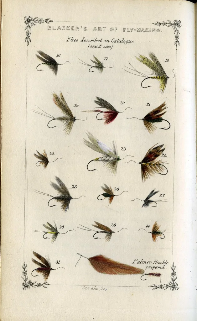 An illustration from Blacker's art of fly making, &c.; 1855, 1855, leaf 135