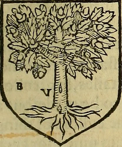 An illustration from The Blazon of Gentrie: : Deuided into two parts. The first named The Glorie of Generositie. The second, Lacyes Nobilitie. Comprehending discourses of Armes and of Gentry. Wherein is treated of the beginning, parts and degrees of Gentlenesse, vvith her lawes: Of the Bearing, and Blazon of Cote-armors: Of the Lawes of Armes, and of combats., 1586, leaf 266