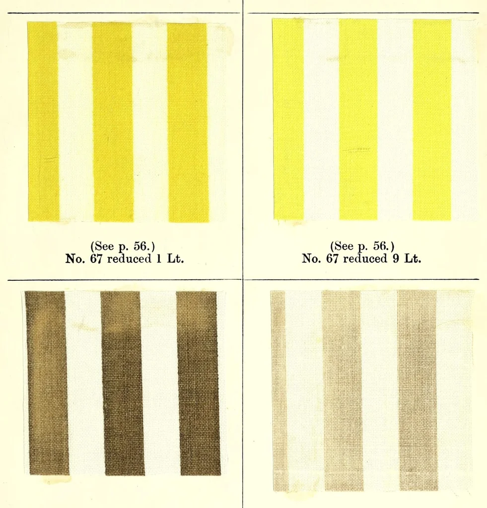 An illustration from Bleaching and calico-printing : a practical manual, 1896, leaf 227