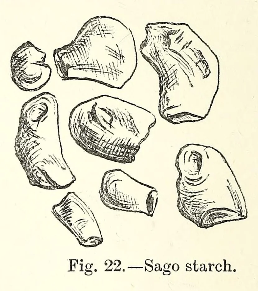 An illustration from Bleaching and calico-printing : a practical manual, 1896, leaf 90