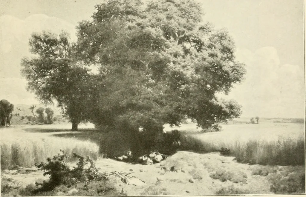 An illustration from Bâle, Berne et Genève, 1909, leaf 142