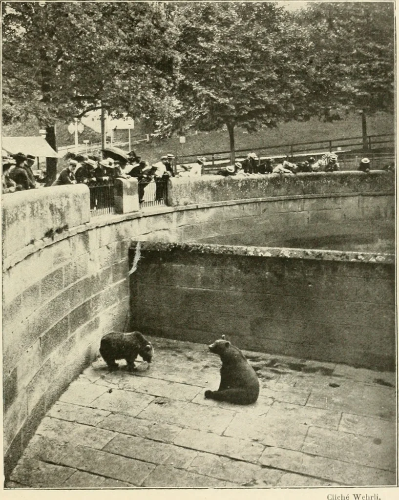 An illustration from Bâle, Berne et Genève, 1909, leaf 74