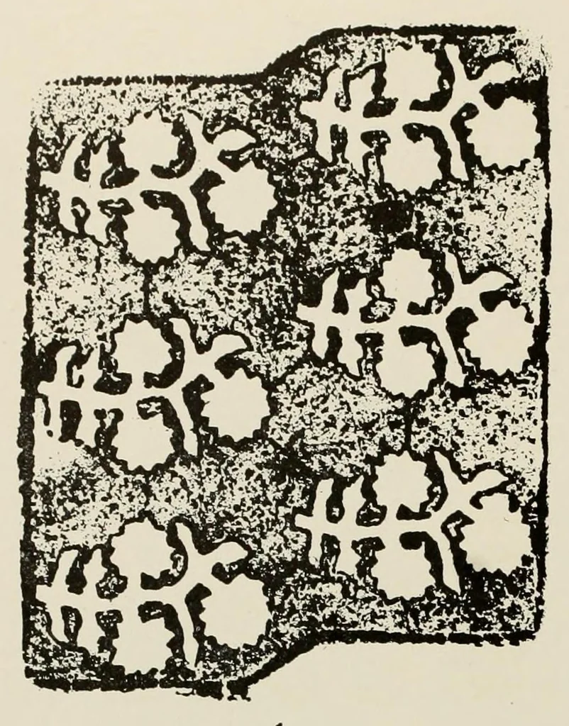 An illustration from Block prints from India for textiles, 1924, leaf 26