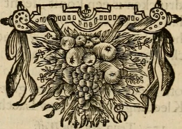 An illustration from Koren-bloemen : nederlandsche gedichten, 1672, leaf 1113