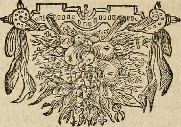An illustration from Koren-bloemen : nederlandsche gedichten, 1672, leaf 1181