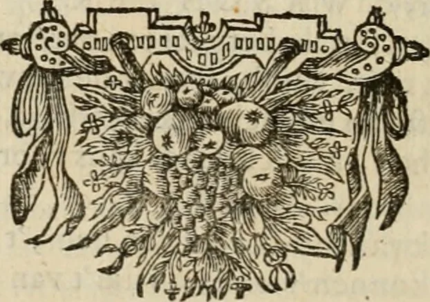 An illustration from Koren-bloemen : nederlandsche gedichten, 1672, leaf 801
