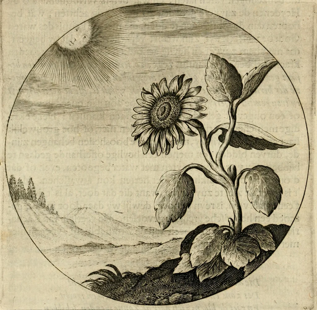 An illustration from Bloemhof der doorluchtige voorbeelden, daer in door ware, vreemde en deftige geschiedenissen, leeringen en eygenschappen, alles dat de mensch tot nut en vermaek verstrekken kan, te bemerken is : uit de schriften van Philippus Camerarius, Michiel de Montanje en andere schrijvers getrokken en vertaelt, 1647, leaf 17