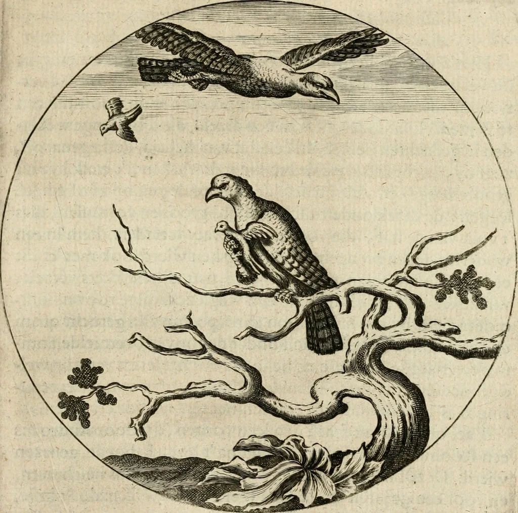 An illustration from Bloemhof der doorluchtige voorbeelden, daer in door ware, vreemde en deftige geschiedenissen, leeringen en eygenschappen, alles dat de mensch tot nut en vermaek verstrekken kan, te bemerken is : uit de schriften van Philippus Camerarius, Michiel de Montanje en andere schrijvers getrokken en vertaelt, 1647, leaf 240