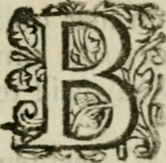 An illustration from Bloem-tuintje : bestaande in twee deelen : het eerste in innerlyke bedenkingen, en geleikenissen, het tweede in eenige zang- en lees-rymen, 1724, leaf 14