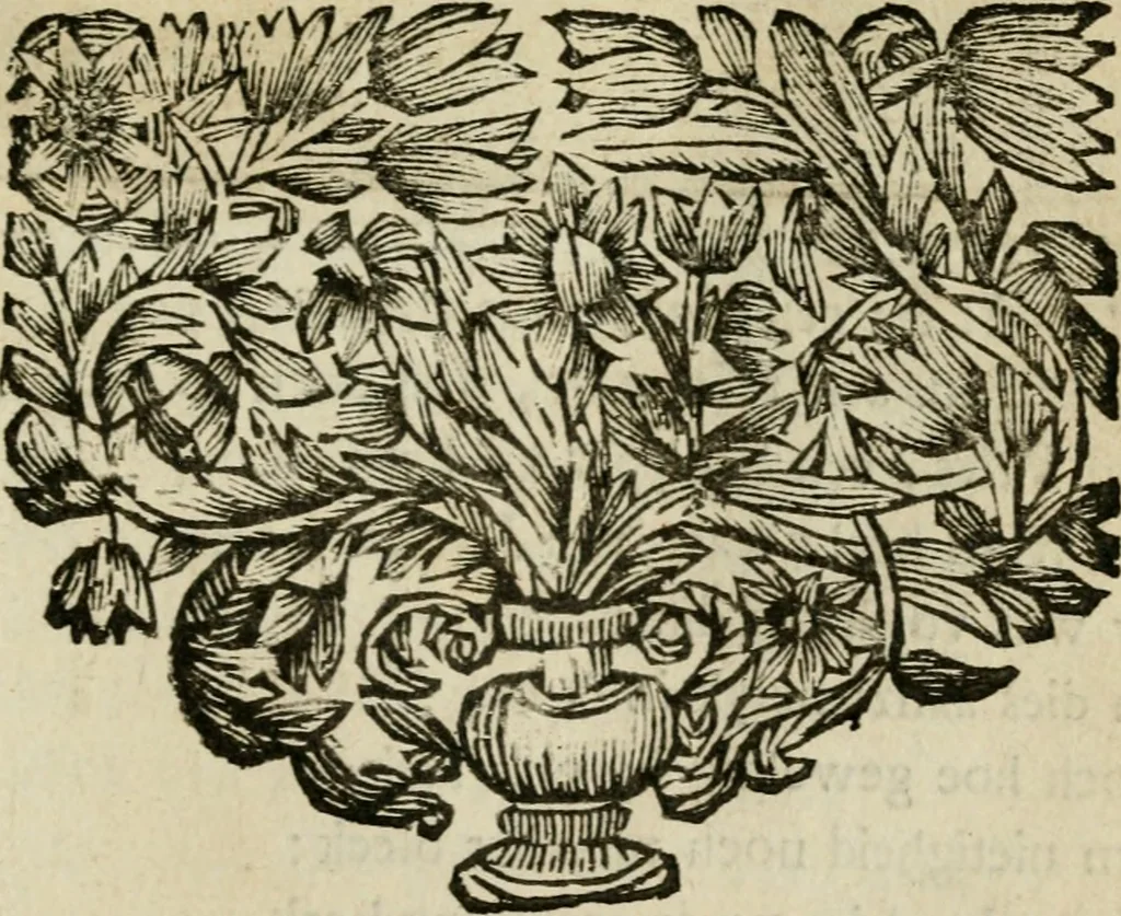An illustration from Bloem-tuintje : bestaande in twee deelen : het eerste in innerlyke bedenkingen, en geleikenissen, het tweede in eenige zang- en lees-rymen, 1724, leaf 208