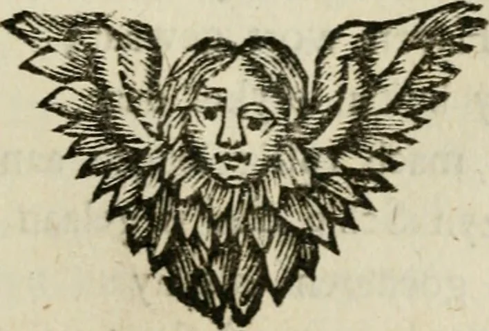An illustration from Bloem-tuintje : bestaande in twee deelen : het eerste in innerlyke bedenkingen, en geleikenissen, het tweede in eenige zang- en lees-rymen, 1724, leaf 230