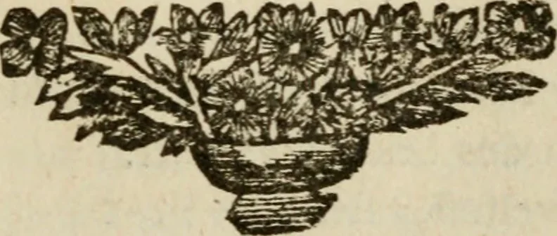 An illustration from Bloem-tuintje : bestaande in twee deelen : het eerste in innerlyke bedenkingen, en geleikenissen, het tweede in eenige zang- en lees-rymen, 1724, leaf 346