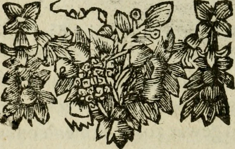 An illustration from Bloem-tuintje : bestaande in twee deelen : het eerste in innerlyke bedenkingen, en geleikenissen, het tweede in eenige zang- en lees-rymen, 1724, leaf 35