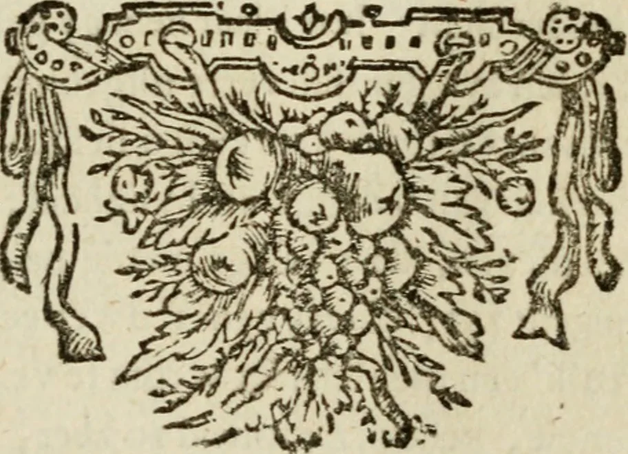 An illustration from Bloem-tuintje : bestaande in twee deelen : het eerste in innerlyke bedenkingen, en geleikenissen, het tweede in eenige zang- en lees-rymen, 1724, leaf 366