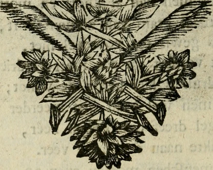 An illustration from Bloem-tuintje : bestaande in twee deelen : het eerste in innerlyke bedenkingen, en geleikenissen, het tweede in eenige zang- en lees-rymen, 1724, leaf 85