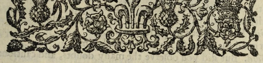 An illustration from The bloody brother : a tragedy, 1639, leaf 13