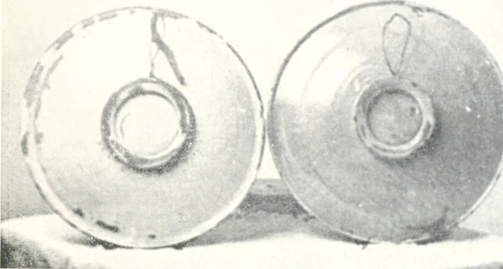 An illustration from Blue dash chargers and other early English tin enamel circular dishes, 1919, leaf 24