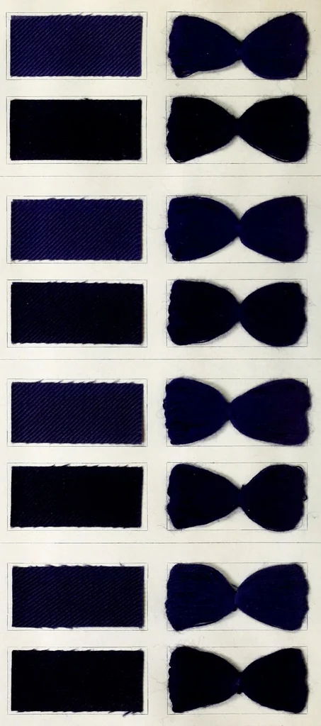 An illustration from Blue immedial colours, 1906, leaf 22