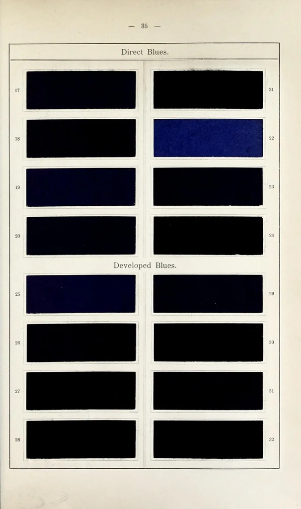 An illustration from Blue immedial colours, 1906, leaf 55