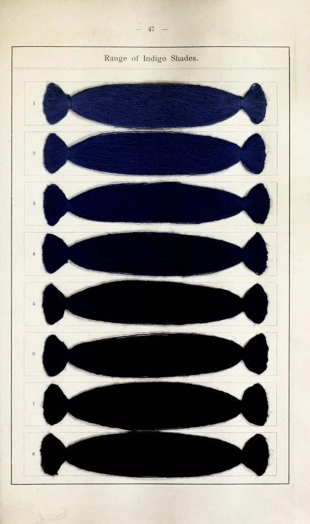 An illustration from Blue immedial colours, 1906, leaf 69