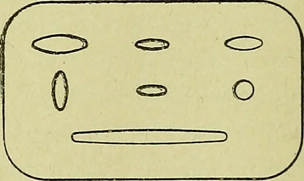 An illustration from Blueprint reading; a practical manual of instruction in blueprint reading through the analysis of typical plates with reference to mechanical drawing conventions and methods, the laws of projection, etc, 1919, leaf 149