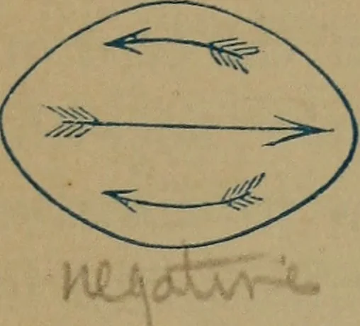 An illustration from Blue and red light: or, Light and its rays as medicine; showing that light is the original and sole source of life, as it is the source of all the physical and vital forces in nature; and that light is nature's own and only remedy for disease ... together with a chapter on light in the vegetable kingdom, 1877, leaf 136