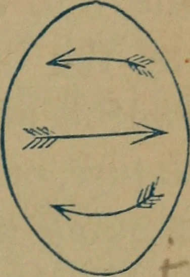An illustration from Blue and red light: or, Light and its rays as medicine; showing that light is the original and sole source of life, as it is the source of all the physical and vital forces in nature; and that light is nature's own and only remedy for disease ... together with a chapter on light in the vegetable kingdom, 1877, leaf 136