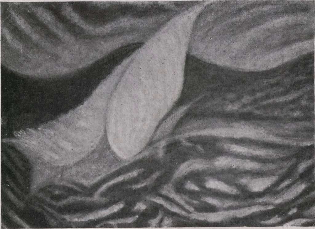 An illustration from Annual exhibition [electronic resource] : no jury, no prizes, 1917, leaf 92