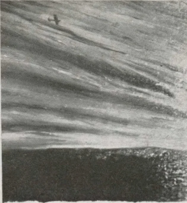 An illustration from Annual exhibition [electronic resource] : no jury, no prizes, 1917, leaf 27
