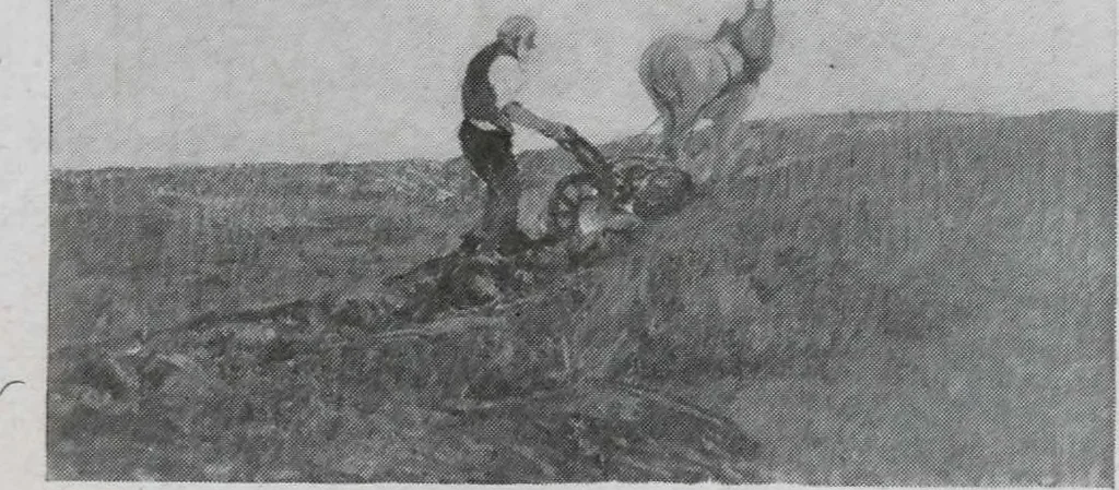 An illustration from Annual exhibition [electronic resource] : no jury, no prizes, 1917, leaf 7